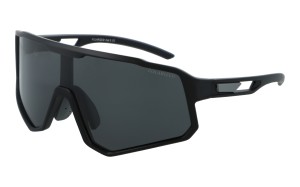 PolarZone 487-1 z etui