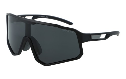 Polarzone 487-1 skos.jpg