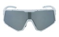 Polarzone 488-4 przód.jpg