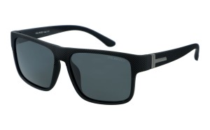 PolarZone 1138-1 z etui
