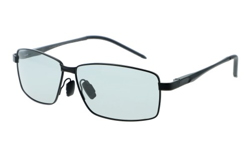 Polarzone FP134-1 skos.jpg