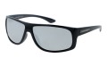 Polarzone 1109-4 skos.jpg