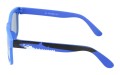 Dino junior 123-1 bok.jpg