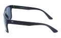 Deep 813-1 bok.jpg