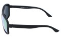 Polarzone 875-8 bok.jpg