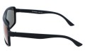 Polarzone 875-11 bok.jpg
