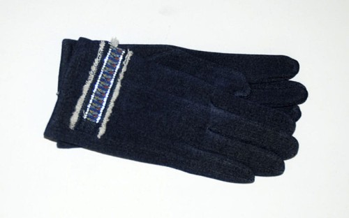 r145_0.jpg