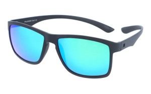 PolarZone 310-11 z etui