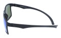 Polarzone 310-11 bok.jpg